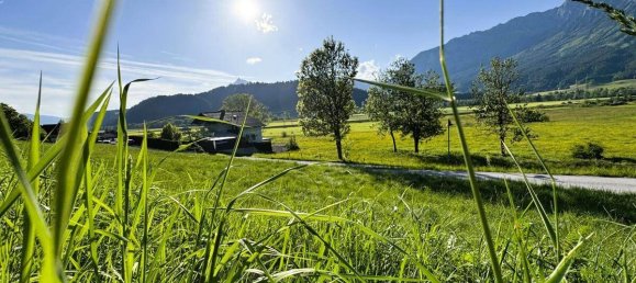 Terrain à Liezen, Austria No. 98254 2