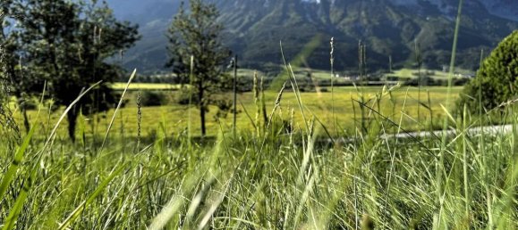 Terrain à Liezen, Austria No. 98254 14