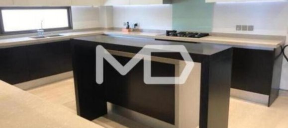 7 غرف نوم فيلا في جزيرة السعديات, UAE رقم 47113 19