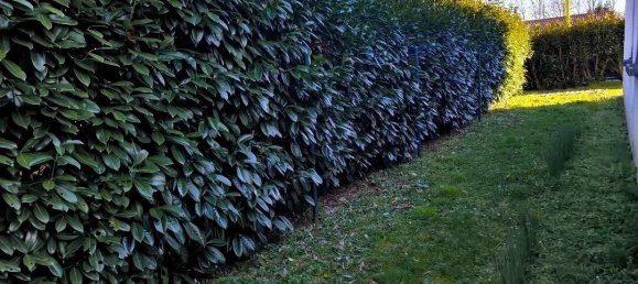 3 bedrooms House in Bergerac, France No. 283175 9