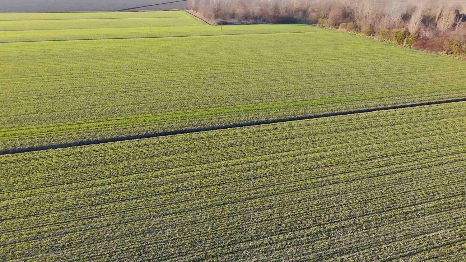 23273m² Land in Ferrara, Italy No. 362094