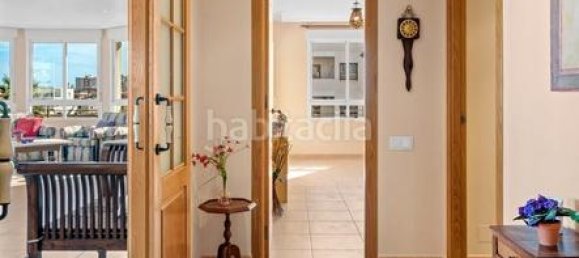 5 bedrooms Apartment in Torrevieja, Spain No. 40804 34