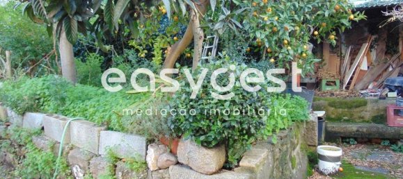 9 غرف نوم قلاع في Castelo Branco, Portugal رقم 58533 20