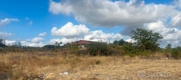 قطعة أرض في Mascalucia, Italy 20000متر مربع رقم 288911 5