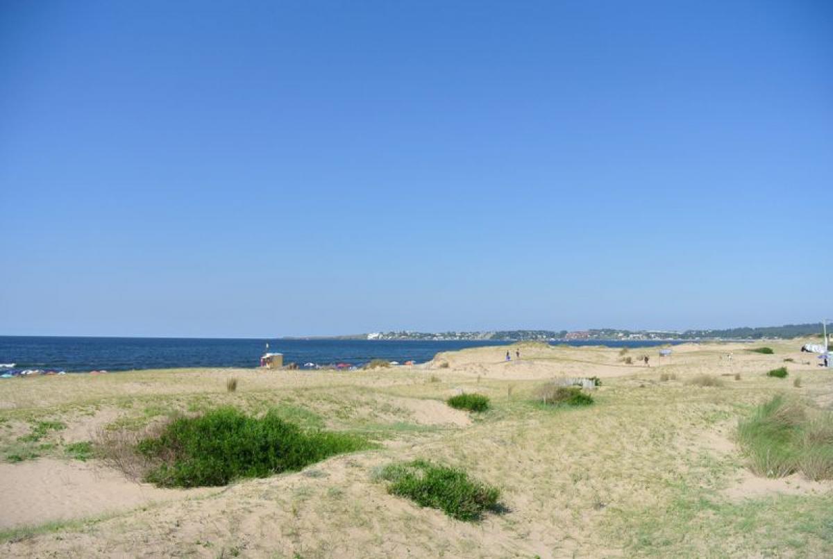 Grundstück in Maldonado, Uruguay, Nr. 16053