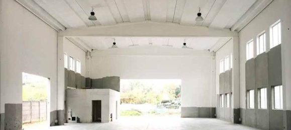 620m² Warehouse in Campi Bisenzio, Italy No. 12064 9