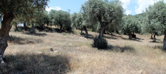 Отель, гостиница 5568м² в Халкидики, Греция № 7739 11