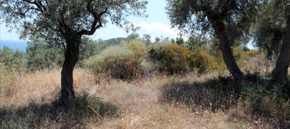 Отель, гостиница 5568м² в Халкидики, Греция № 7739 9