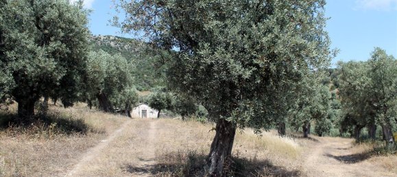 Отель, гостиница 5568м² в Халкидики, Греция № 7739 7