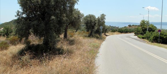 Отель, гостиница 5568м² в Халкидики, Греция № 7739 3