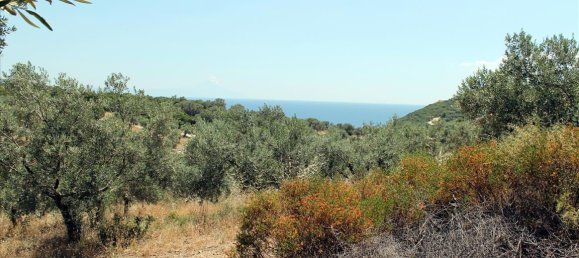 Отель, гостиница 5568м² в Халкидики, Греция № 7739 4