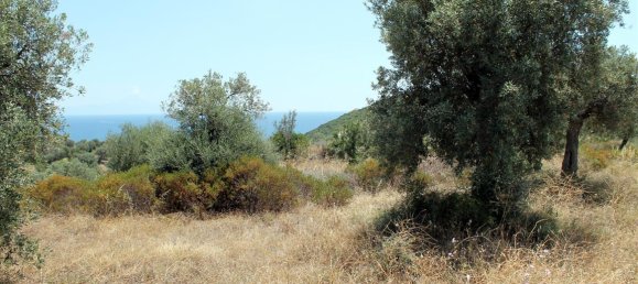 Отель, гостиница 5568м² в Халкидики, Греция № 7739 5