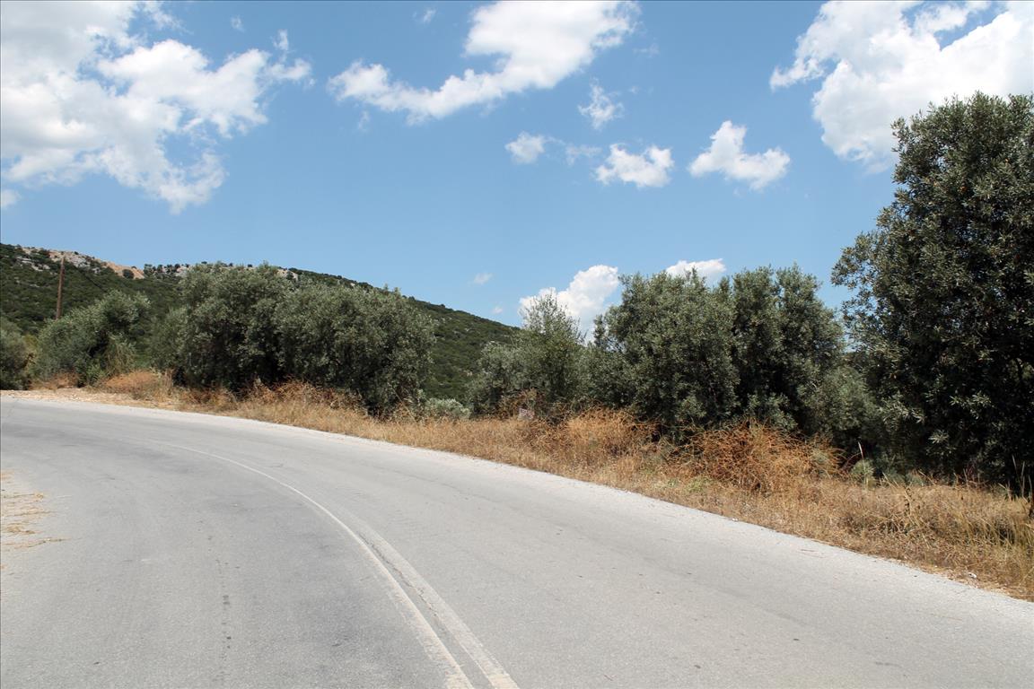 5568m² Hotel for sale in Chalkidiki, Central Macedonia, Macedonia and Thrace, Greece № 7739