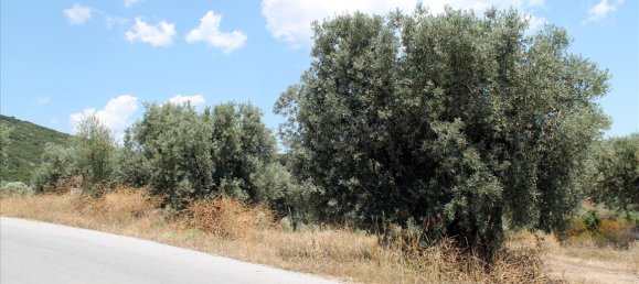 5568m² Hotel for sale in Chalkidiki, Central Macedonia, Macedonia and Thrace, Greece № 7739 6