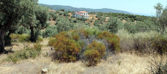 Отель, гостиница 5568м² в Халкидики, Греция № 7739 8