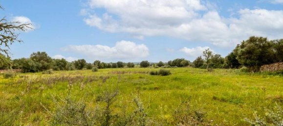 Terreno em Ses Salines, Spain 14000 m² N.º 98214 2