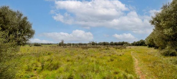 Terreno em Ses Salines, Spain 14000 m² N.º 98214 3