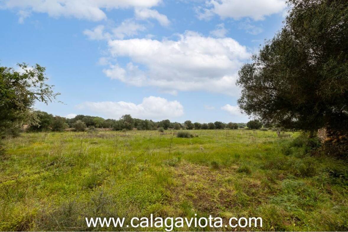 Terreno en Ses Salines, Spain 14000 m² No. 98214