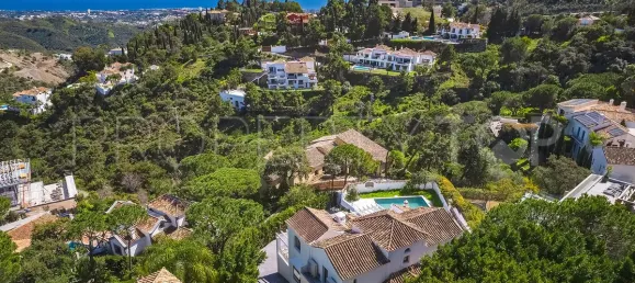 5 bedrooms Villa in El Madronal, Spain No. 190020 2