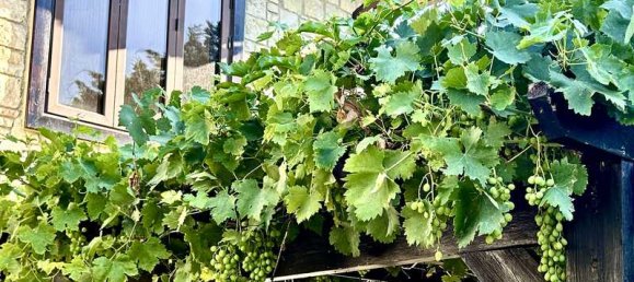 Villa de 5 dormitorios en Souni–Zanatzia, Cyprus No. 7180 7