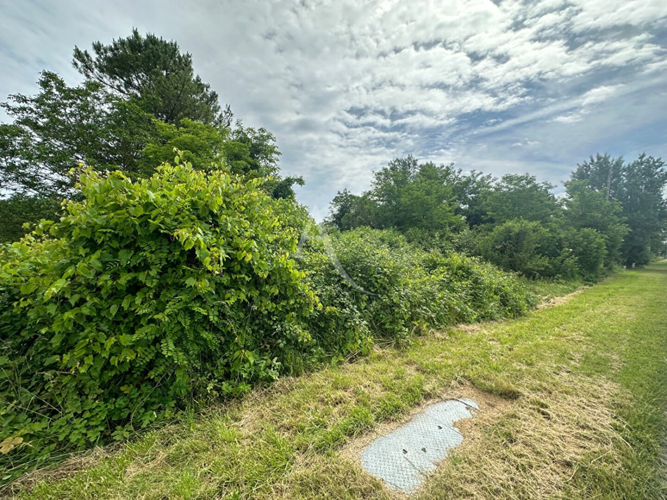  Land in Thesee, France No. 276099