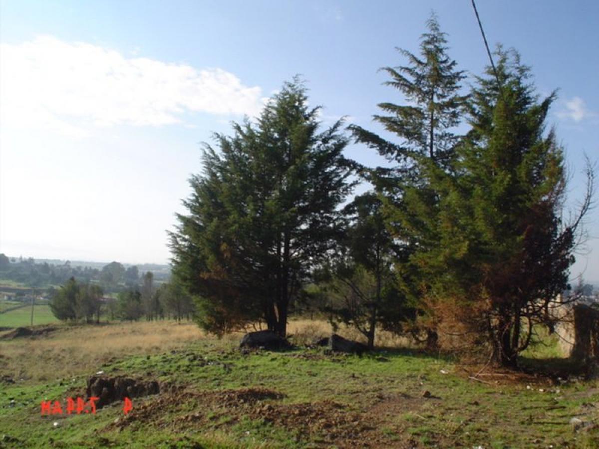  Land in Almoloya de Juarez, Mexico No. 206850