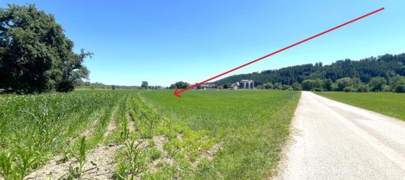 3540m² Commercial property in Neukirchen an der Vockla, Austria No. 129618 14