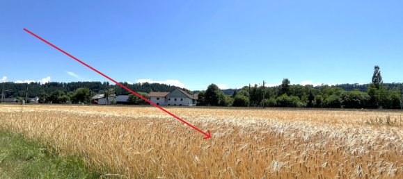 3540m² Commercial property in Neukirchen an der Vockla, Austria No. 129618 13