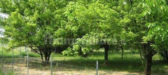 250m² Warehouse in Oderzo, Italy No. 221444 4