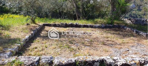 5غرفة منزل في Modica, Italy رقم 63441 6