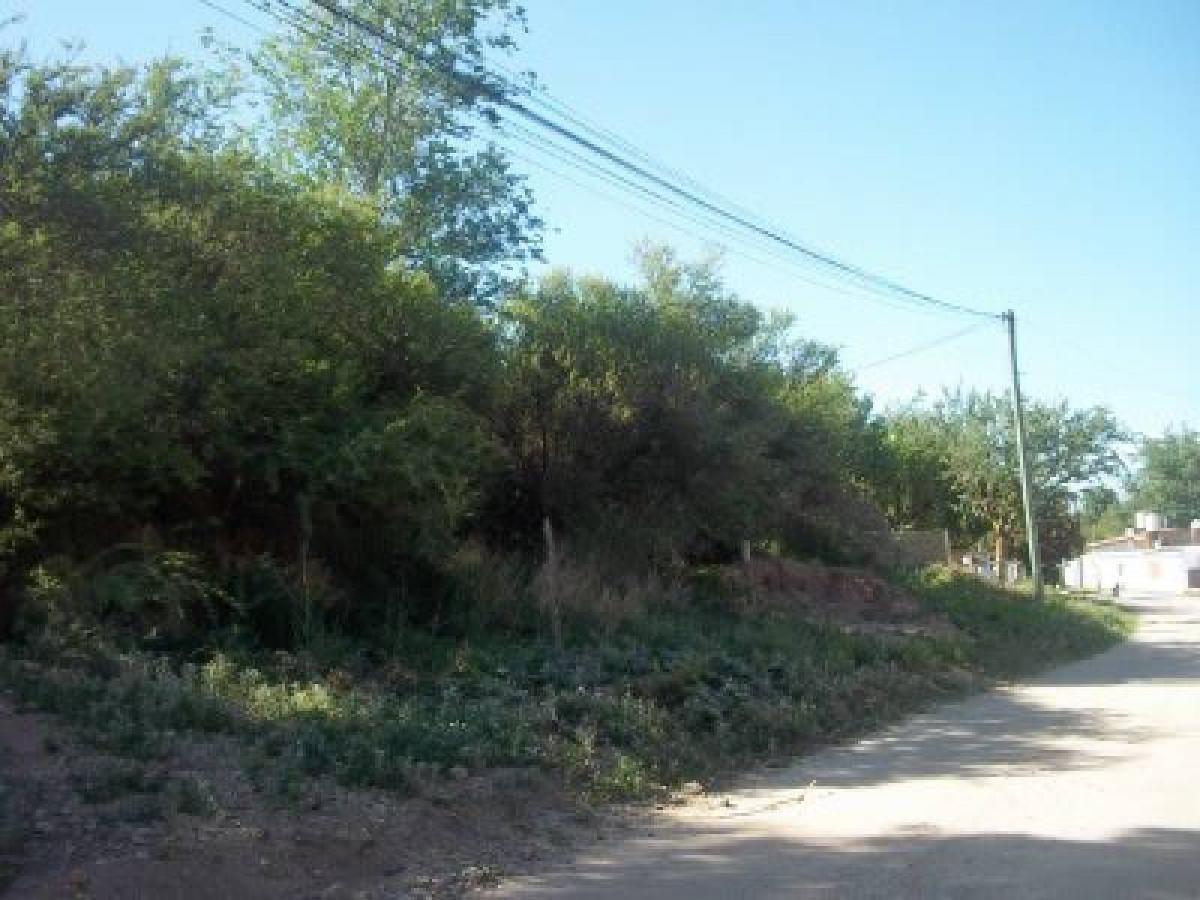  Land in Cordoba, Argentina No. 36962