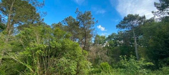 4 chambres Villa à Cocumont, France No. 306670 7