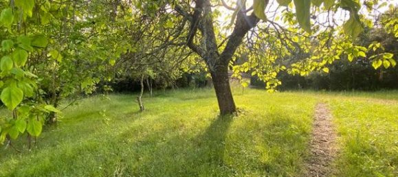 4 chambres Villa à Cocumont, France No. 306670 6