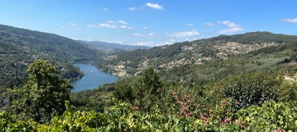 Grundstück in Marco de Canaveses, Portugal, Nr. 55946 19