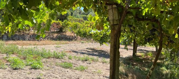 Grundstück in Marco de Canaveses, Portugal, Nr. 55946 15