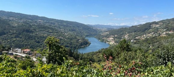 Grundstück in Marco de Canaveses, Portugal, Nr. 55946 9