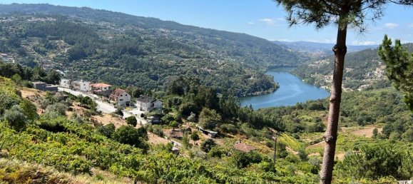 Grundstück in Marco de Canaveses, Portugal, Nr. 55946 13