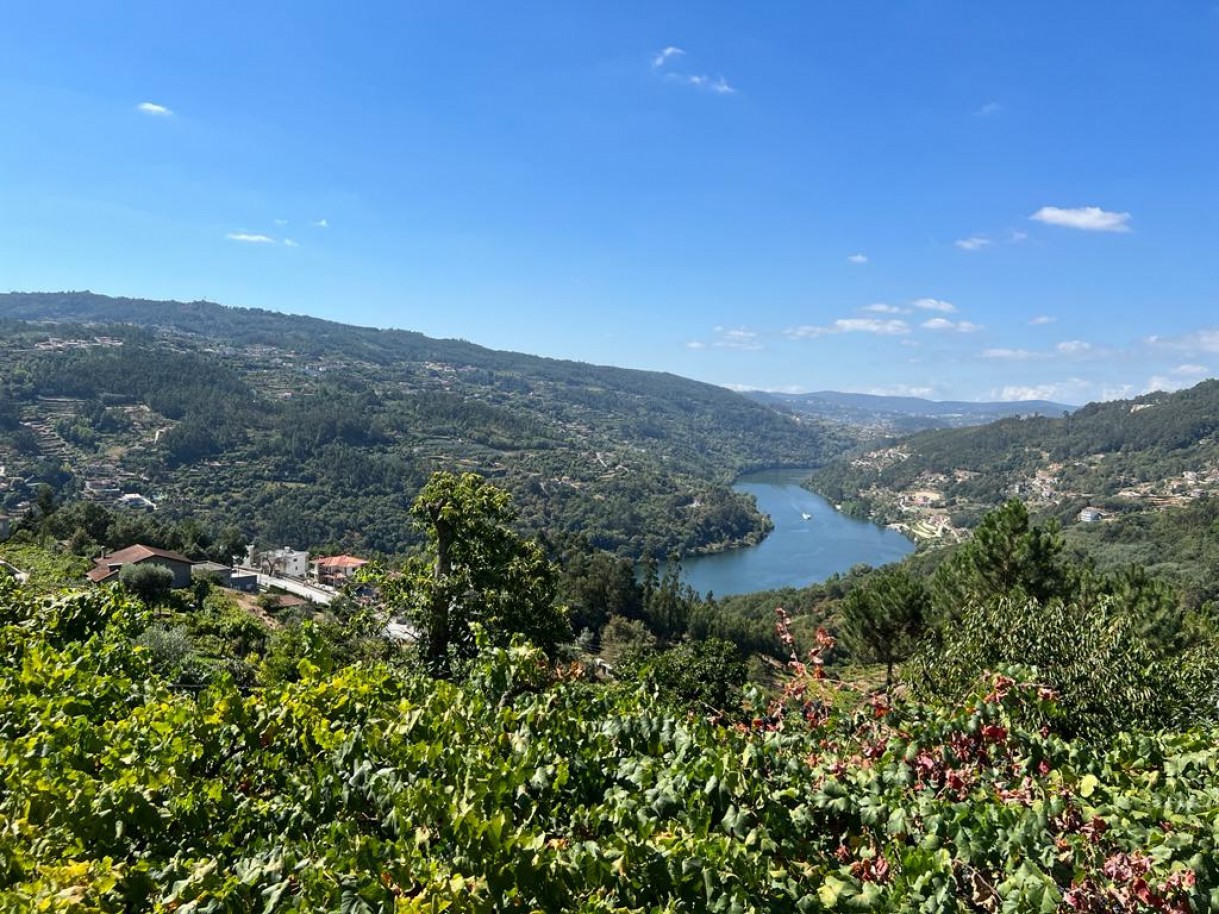 Grundstück in Marco de Canaveses, Portugal, Nr. 55946