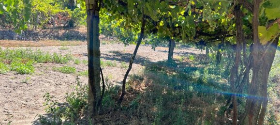 Grundstück in Marco de Canaveses, Portugal, Nr. 55946 20