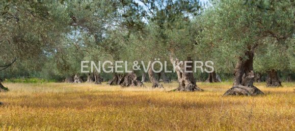 44 rooms Castles in Chiaramonte Gulfi, Italy No. 132091 28