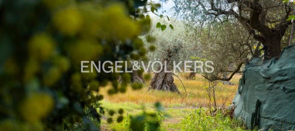 44 rooms Castles in Chiaramonte Gulfi, Italy No. 132091 27