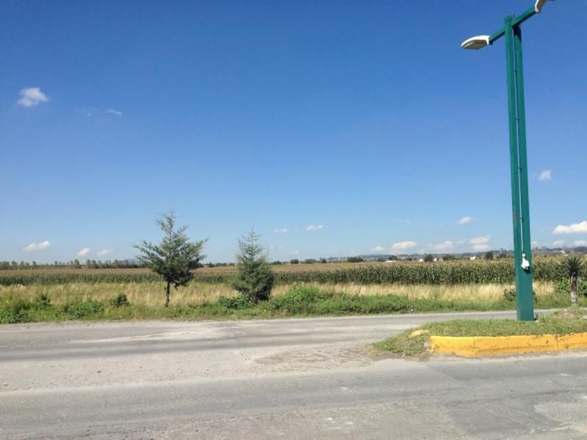 Grundstück in Mexico, Nr. 206099