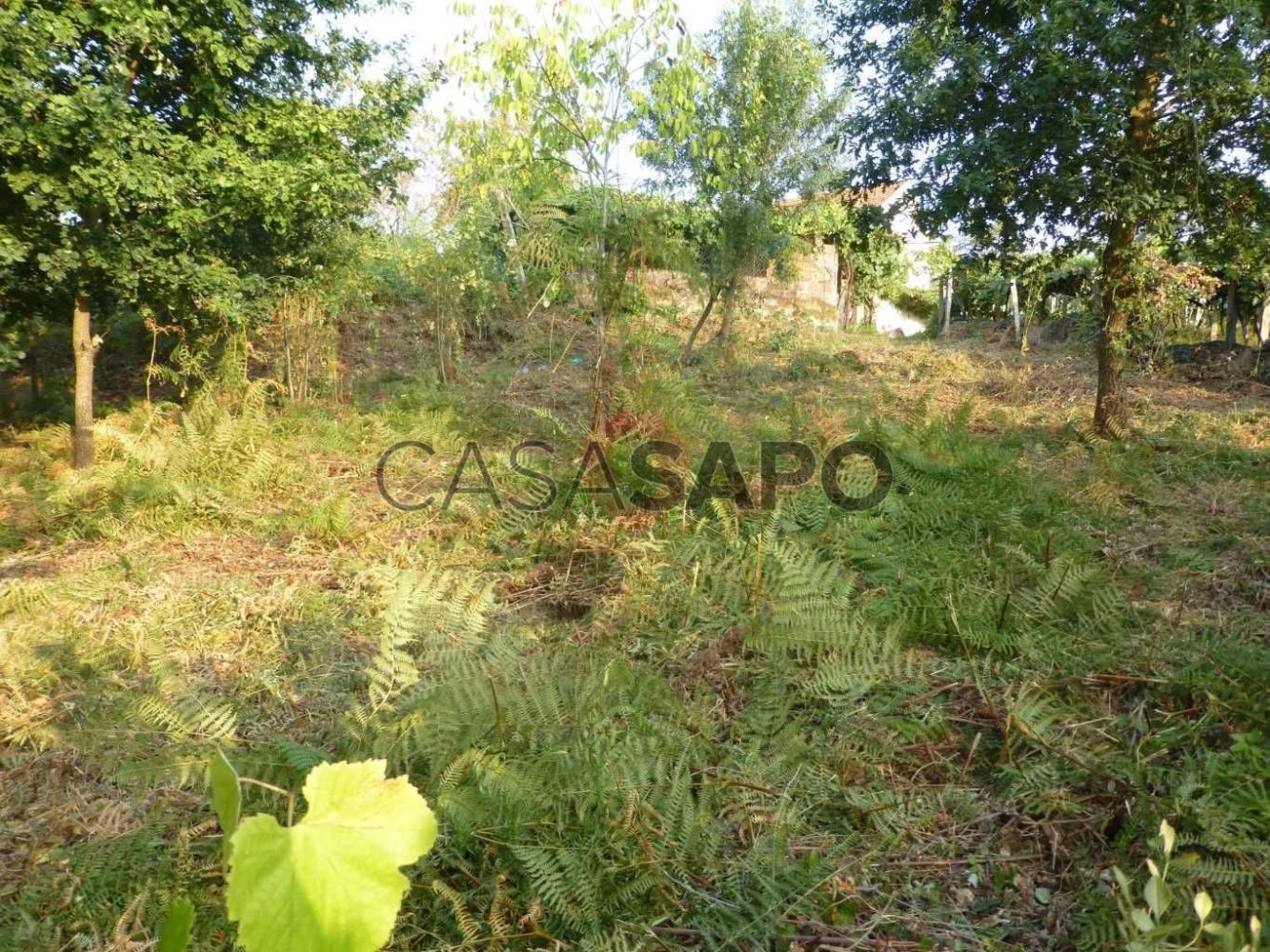 Terreno em Melgaço, Portugal N.º 327984