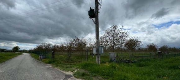 65000m² Land in Spello, Italy No. 348933 12