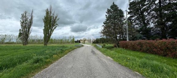 65000m² Land in Spello, Italy No. 348933 14