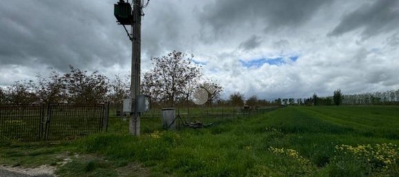 65000m² Land in Spello, Italy No. 348933 4