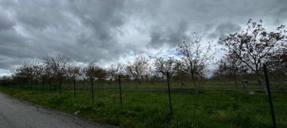 65000m² Land in Spello, Italy No. 348933 16