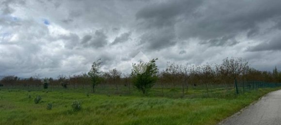 65000m² Land in Spello, Italy No. 348933 13