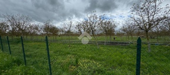 65000m² Land in Spello, Italy No. 348933 2