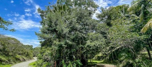  Land in Savegre, Costa Rica No. 2037 2